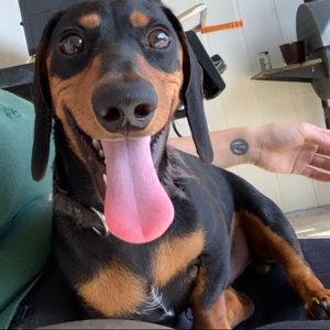 Bundle for Kierian ❤️